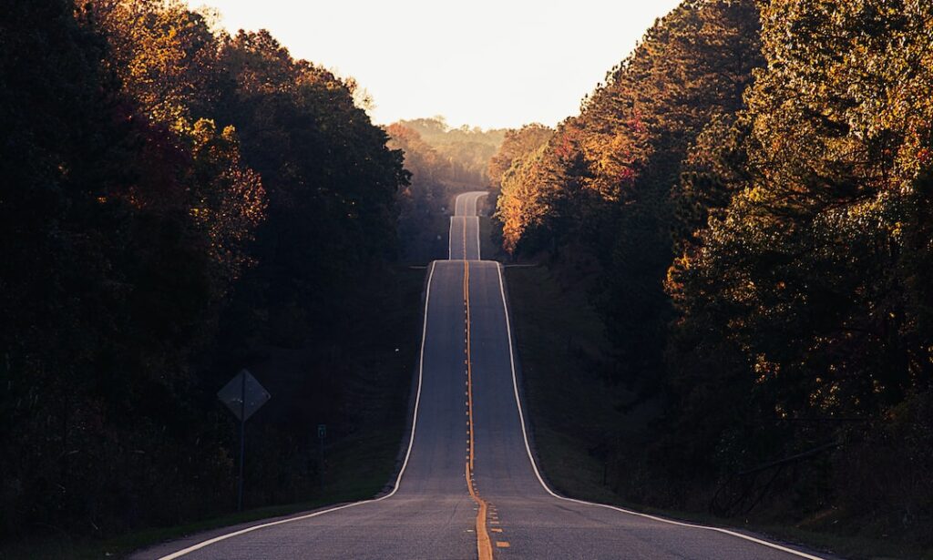 Undulating Road through forest